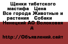 Щенки тибетского мастифа › Цена ­ 80 - Все города Животные и растения » Собаки   . Ненецкий АО,Волоковая д.